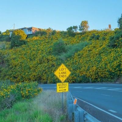 彩神手机app下载