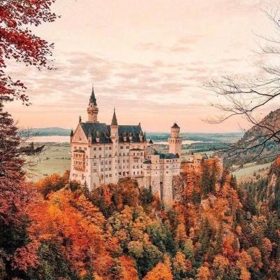 米乐下载地址手机app下载