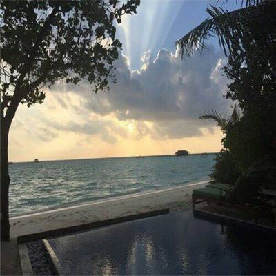 BOB·体育手机APP