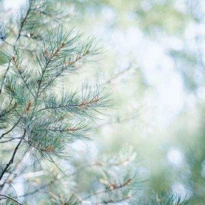 ob体育最新官网app下载