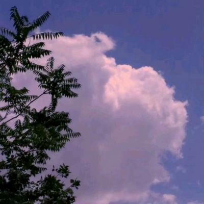 365体育官网入口